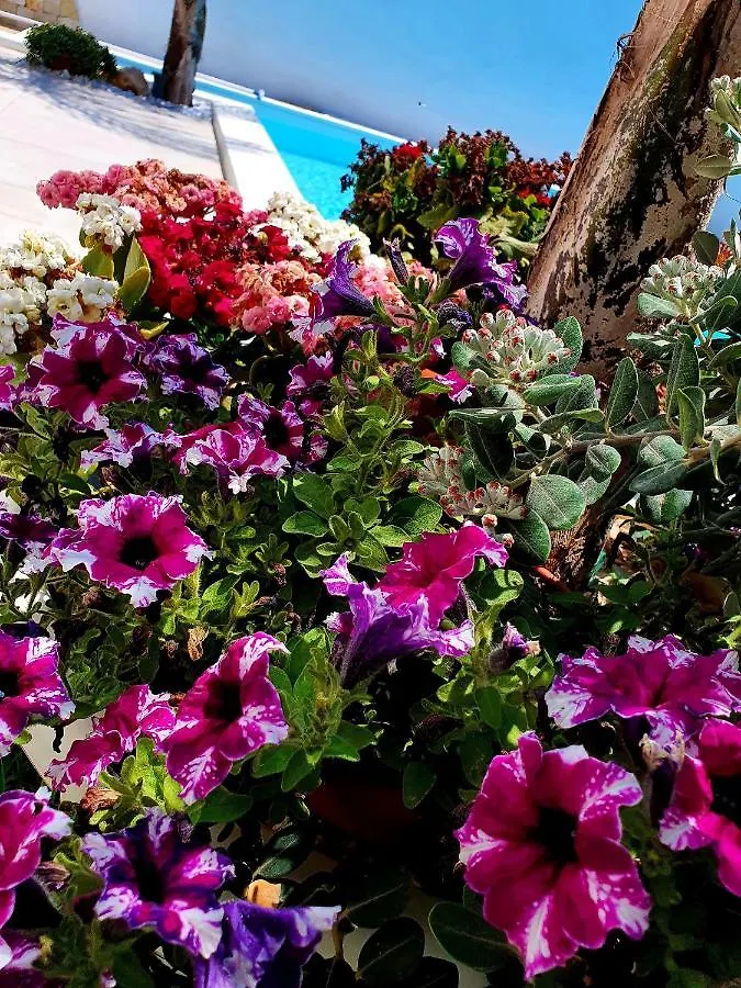 La Perla Di Marzamemi Villa 0*,