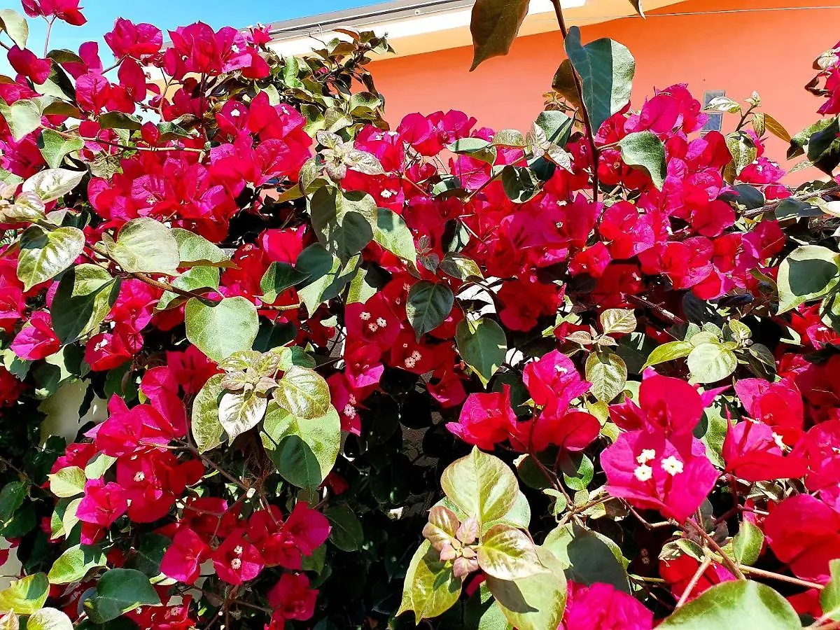 La Perla Di Marzamemi Villa 0*,
