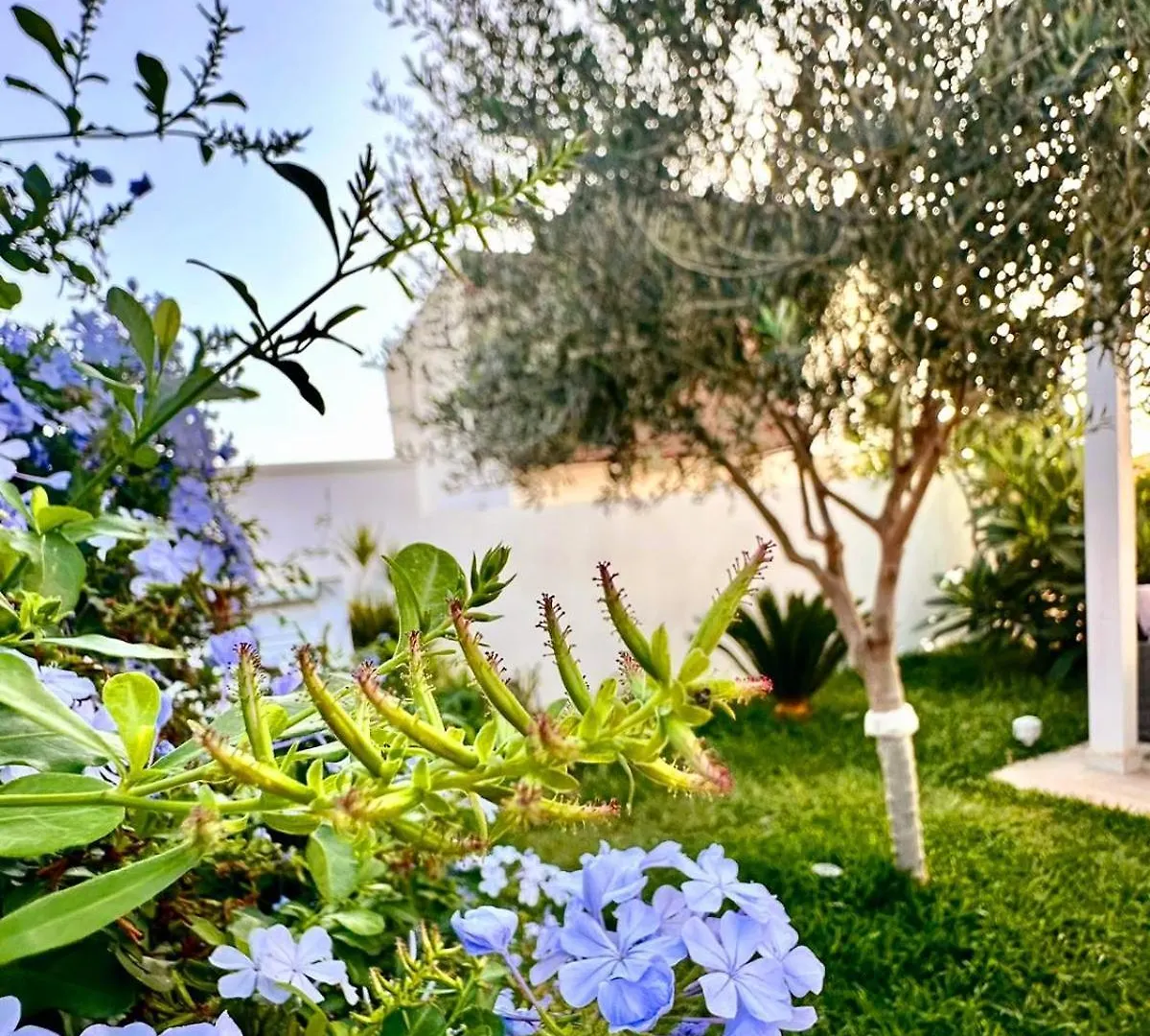 La Perla Di Marzamemi Villa