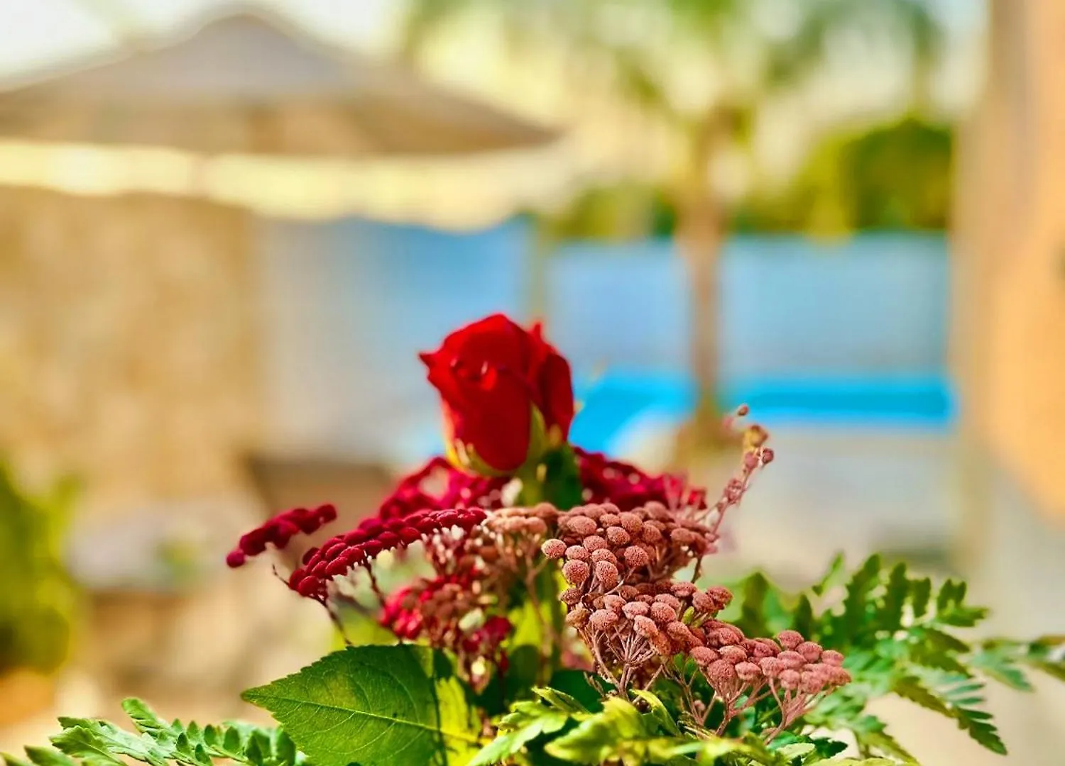La Perla Di Marzamemi Villa 0*,